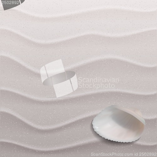 Image of Marine background with seashell on sand.