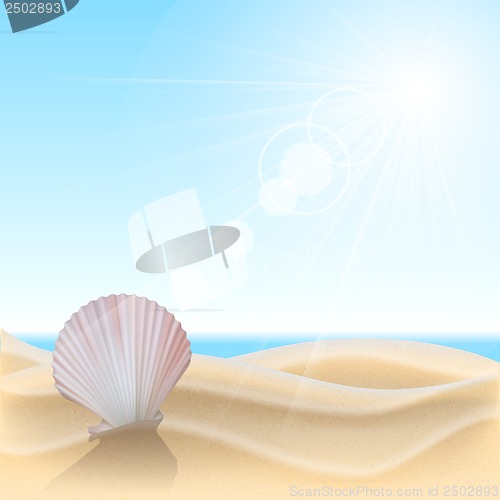 Image of Shell on the beach