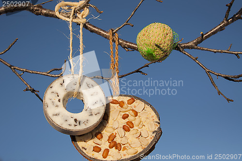 Image of Selection of bird food