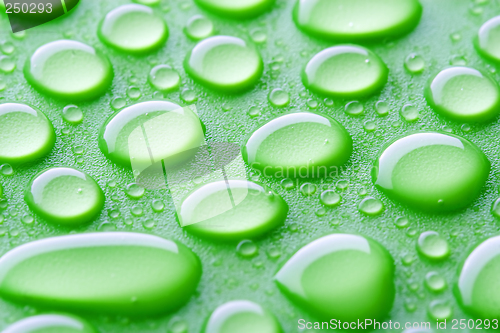 Image of water drops