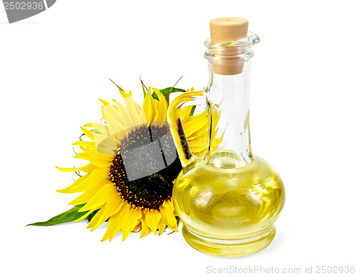 Image of Vegetable oil in a carafe with a sunflower
