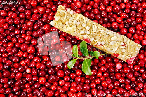 Image of Granola bar in the cranberries with a sprig