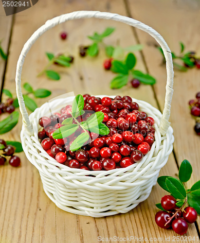 Image of Lingonberries in a white wicker basket