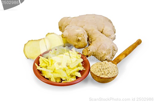 Image of Ginger grated in a bowl with the powder in the spoon and root