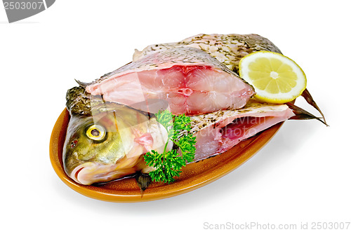 Image of Bream raw in a clay plate with parsley