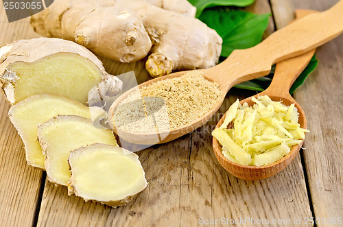 Image of Ginger powder and grated in the spoon with the root and leaves