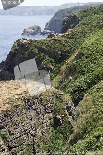 Image of Cap Frehel