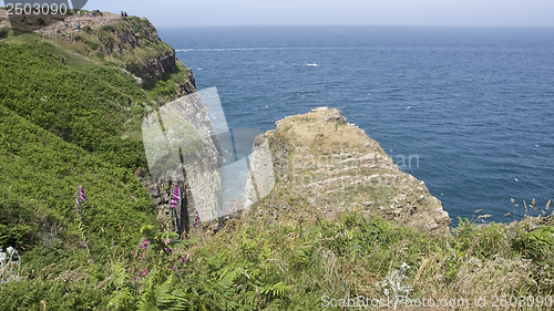 Image of Cap Frehel