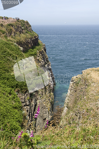 Image of Cap Frehel