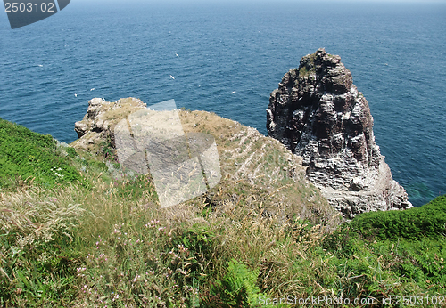 Image of Cap Frehel