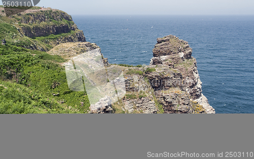 Image of Cap Frehel