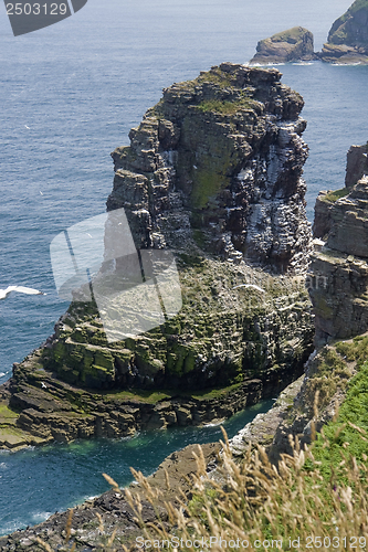 Image of Cap Frehel