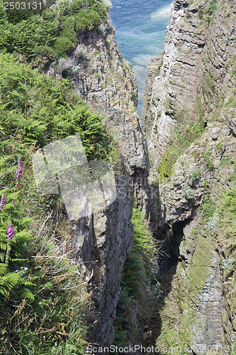 Image of Cap Frehel