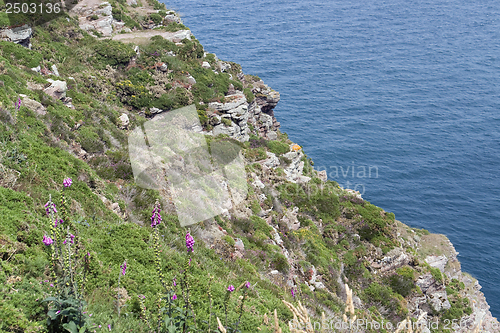 Image of Cap Frehel