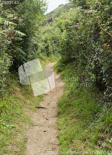 Image of idyllic footpath