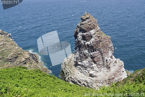 Image of Cap Frehel