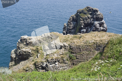 Image of Cap Frehel