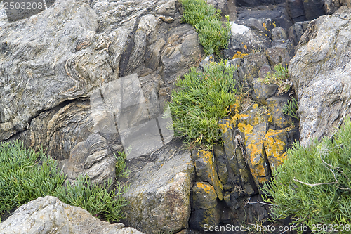 Image of Cap Frehel