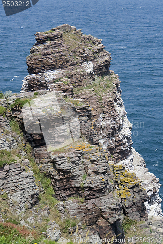 Image of Cap Frehel