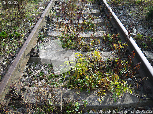 Image of Railroad tracks