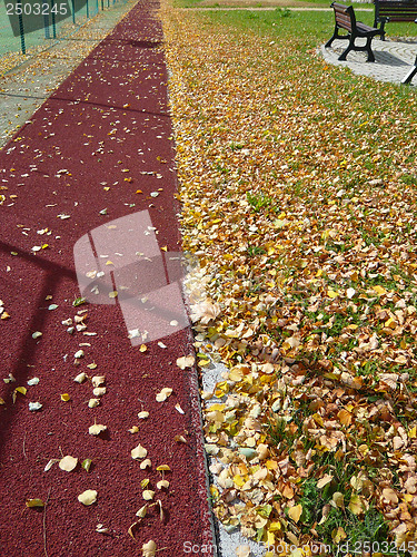 Image of Autumn on school yard