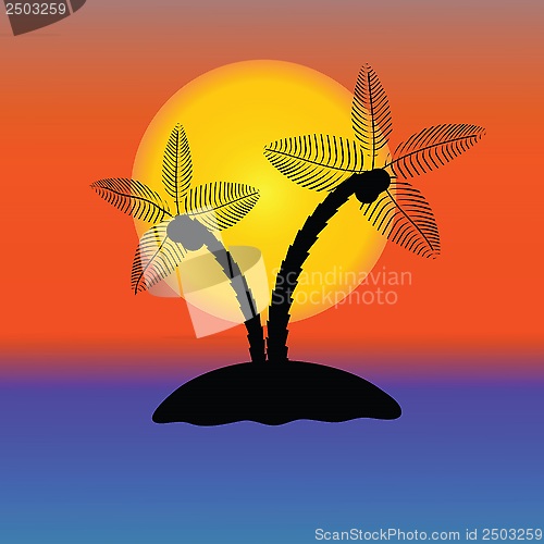 Image of Palm Tree Silhouette 
