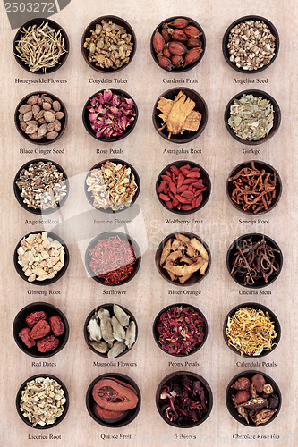 Image of Traditional Chinese Herbal Medicine