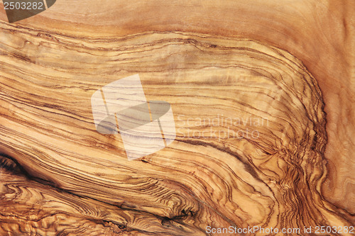 Image of Olive Wood