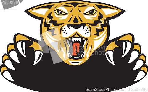 Image of Tiger Head Head Attacking Isolated