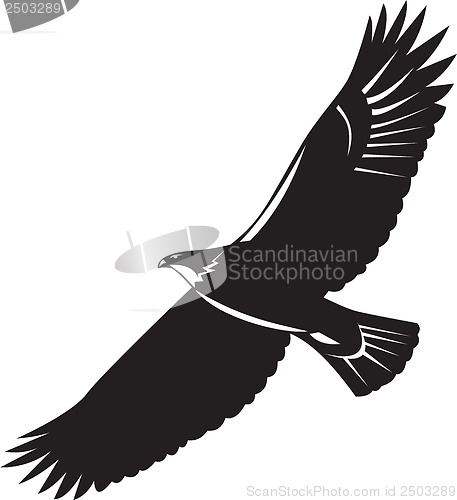 Image of American Eagle Flying Woodcut
