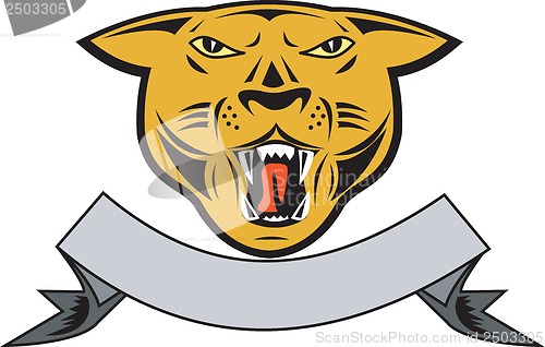 Image of Puma Big Cat Growl Head Isolated