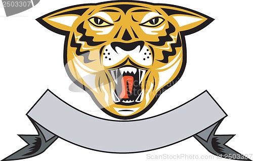 Image of Tiger Head Growl Head Isolated