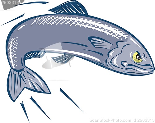 Image of Angry Sardine Fish Jumping