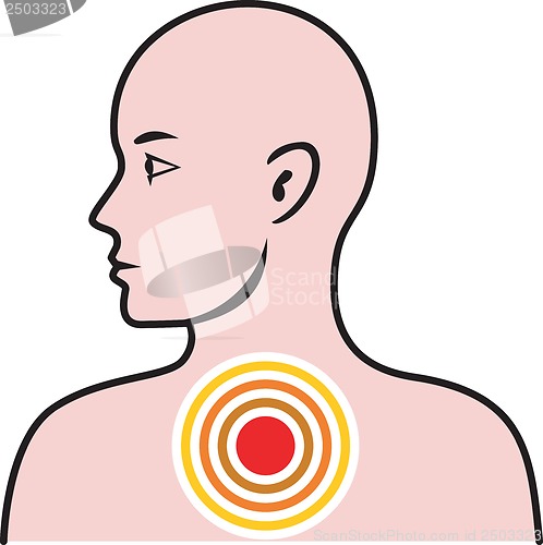 Image of Male Human Anatomy