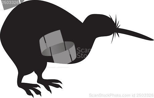 Image of Kiwi Bird Isolated