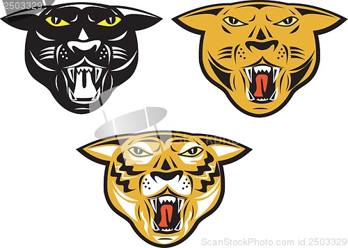 Image of Panther Big Cat Growl Head Isolated