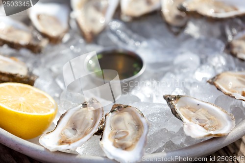Image of raw oysters