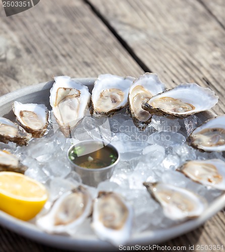 Image of raw oysters