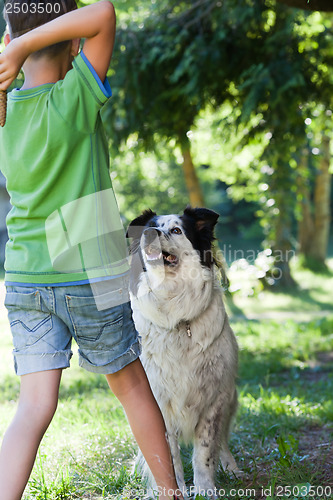 Image of Boy plays with dog in garden