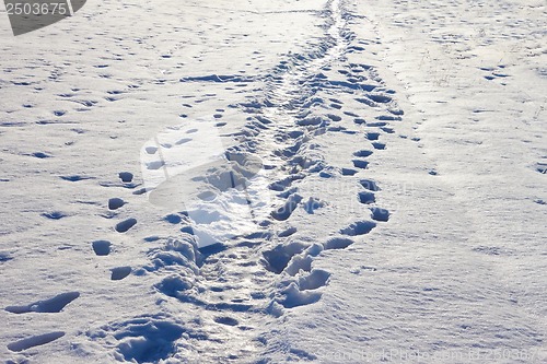 Image of Narrow footpath on the snow