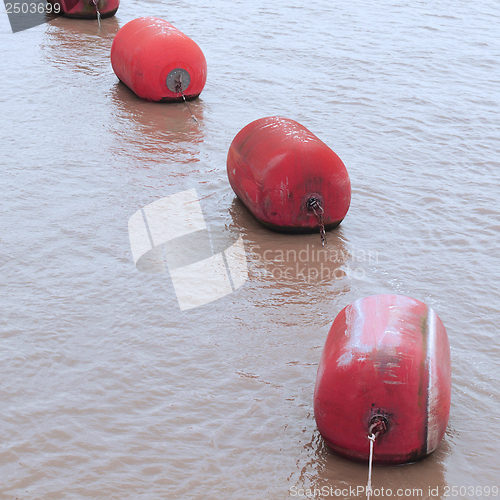 Image of Life buoy in water