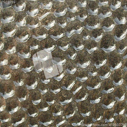 Image of Glass picture