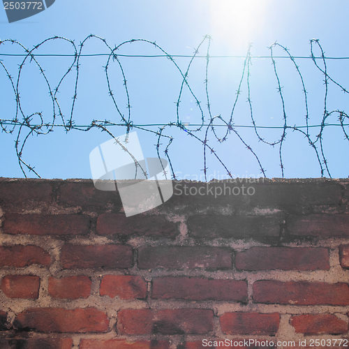 Image of Barbed wire