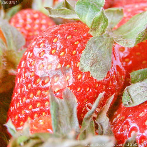 Image of Strawberry