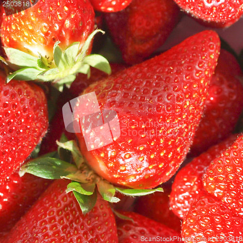 Image of Strawberry