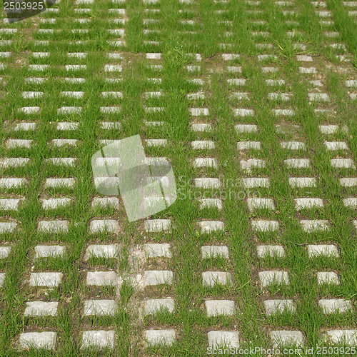 Image of Car parking lot grass