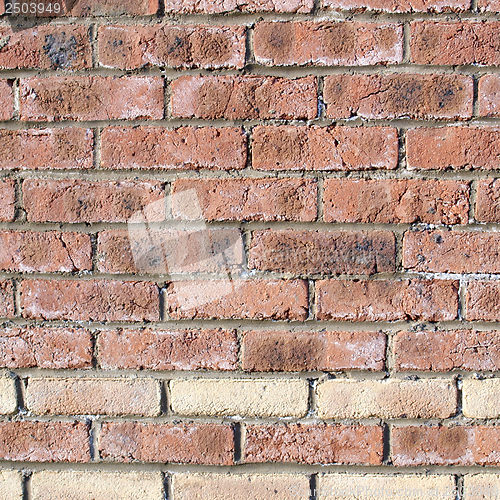 Image of Brick wall