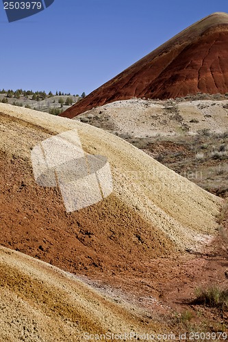 Image of Painted Hills Oregon