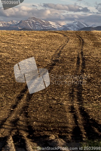 Image of Wind Farm Canada