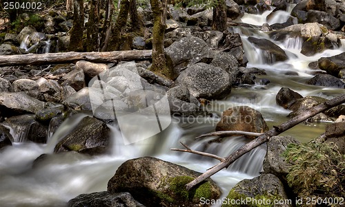 Image of Yosemite National Park